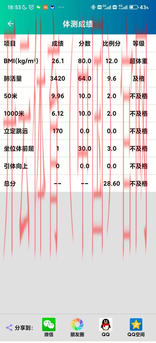 开云体育平台评价，新手入门最全面攻略指南